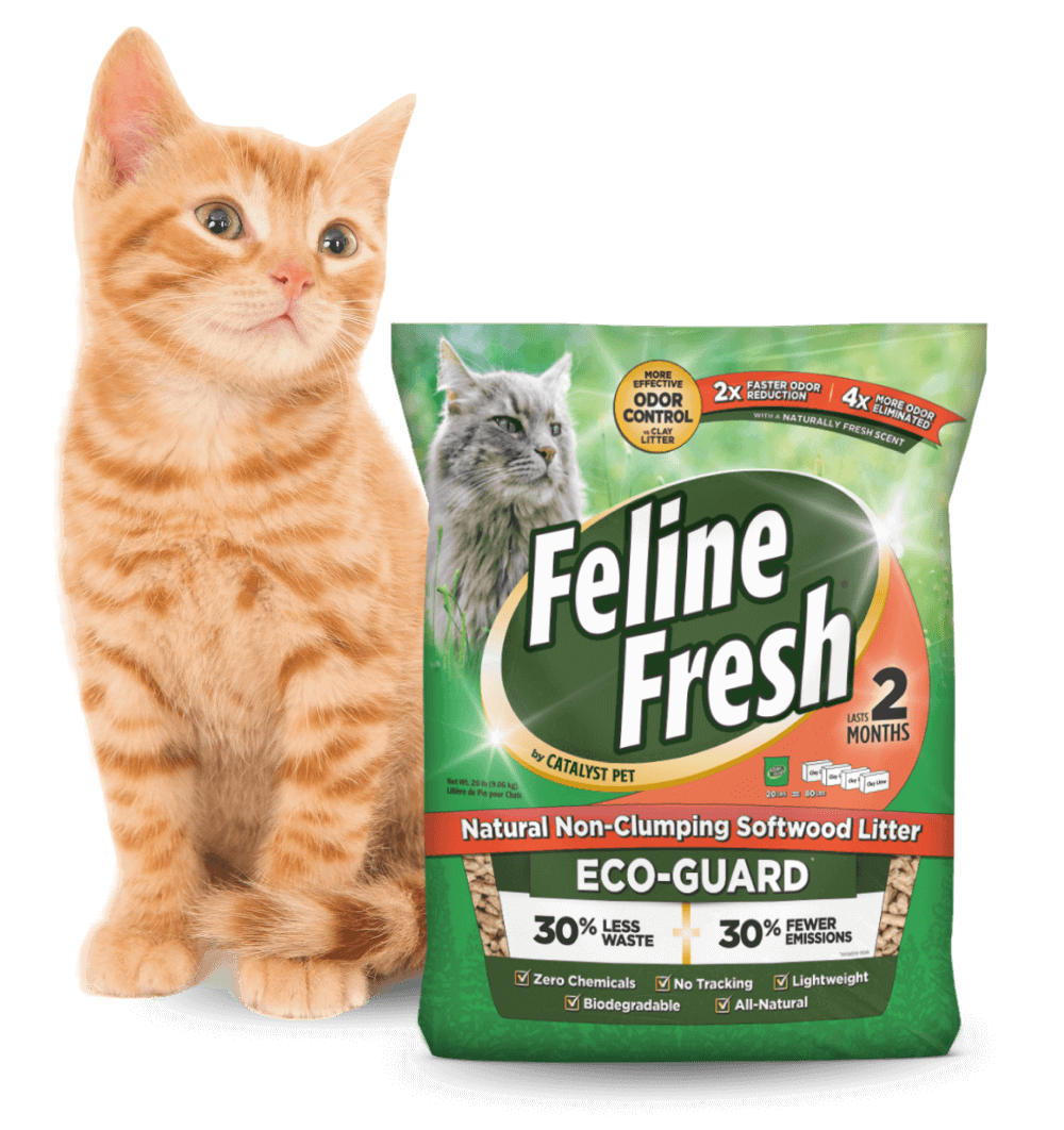 Long-Lasting & Low Maintenance